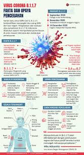 Bahkan, pemerintah indonesia sudah menetapkan wabah ini sebagai bencana global. Infografik Virus Corona B 1 1 7 Fakta Dan Upaya Pencegahan Antara News