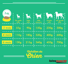 Astuce Choisir La Bonne Quantite De Nourriture Pour Votre Chien Nourriture Chien Alimentation Chien Chien
