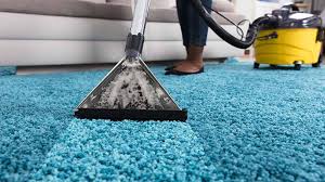 Revitalize Your Floors: The Benefits of Professional Carpet Cleaning