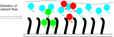What Is C18? A Guide On The Basics Of Hplc Columns - Develosil Usa