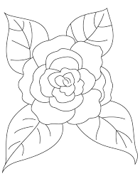 Camellia With Four Leaves Coloring Page Leaf Coloring Page Coloring Pages Embroidery Patterns Vintage