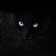 We did not find results for: Best Animals Hd Wallpapers For Android Apk Download