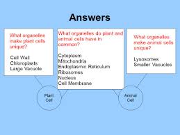 Maybe you would like to learn more about one of these? The Basic Building Blockof Living Organisms Cell Type And Structure Ppt Video Online Download