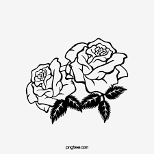 زاوية القطع أبيض وأسود وردة بسيطة ابيض ورد ورد ابيض سكرابز ورود black and white roses black and white white roses
