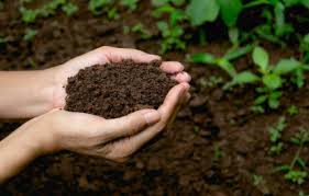 How long to make compost in garden. Making Compost Naturally Into Garden Soil Farmhouse Bc