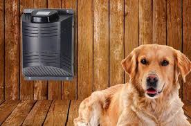 dog house heater heated dog houses heat your present dog house with some low heat to keep th dog house air conditioner dog kennel outdoor house training dogs