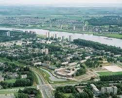 pin op hoogvliet meeuwenplaat