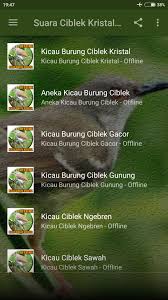 Ciblek kristal gacor cocok untuk memancing bunyi burung bahan | yenkuro losari enterprise. Suara Ciblek Kristal Ngebren For Android Apk Download
