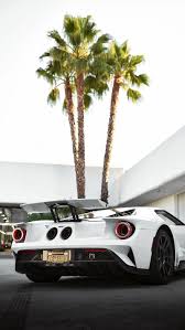 Choose from hundreds of free palm tree pictures. Zdaotbfgb Pbfm