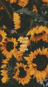 Pin By Dwi Wahyu On Pantalla Sunflower Quotes Sunflower Iphone Wallpaper Sunflower Wallpaper