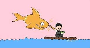 Take This Stupid Shark Really Funny Memes Hotel Art Fan Art