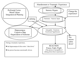 Emdr Eye Movement Desensitization And Reprocessing Emdr Emdr Therapy Positive Psychology