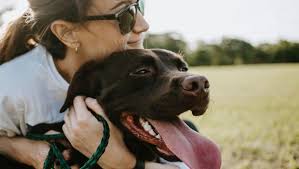 Looking for the truth about pet food? Truth About Pet Food Knowing The Truth Can Save Your Pet S Life
