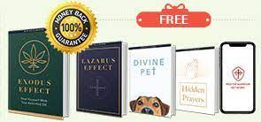 The Exodus Effect In 2021 Memory Problems Holy Oil Healing Oils