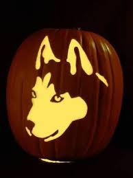 This puppy pumpkin is a man's best friend! Got To Have A Husky To Go With My Pom This Year Pumpkin Carving Cute Pumpkin Carving Halloween Pumpkin Carving Stencils