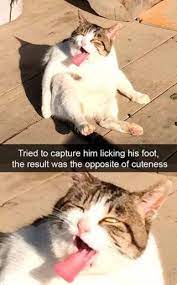 Pin On Awwww