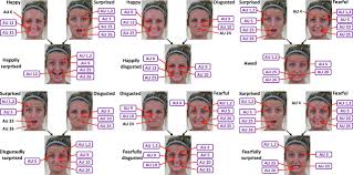 compound facial expressions of emotion pnas