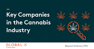 Key Companies In The Cannabis Industry Global X Etfs