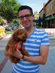 Find newfoundland puppies for sale and dogs for adoption. Cockapoo Rescue Ma