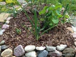 Check spelling or type a new query. Mulching In The Permaculture Garden Tenth Acre Farm
