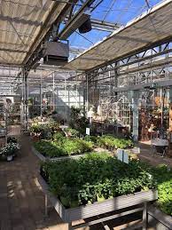Maybe you would like to learn more about one of these? May Garden Aus Kassel Speisekarte