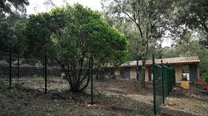 Pension Canine du Mas Blanc