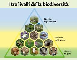 La biodiversità