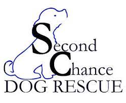 We are dedicated to helping homeless animals and displaced dogs and cats find loving, responsible, safe homes. Second Chance Dog Rescue Home