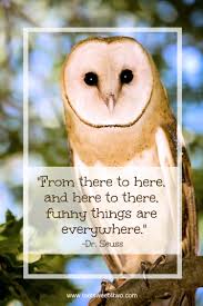 See more ideas about horse quotes, equestrian quotes, horse riding quotes. Dr Seuss Quote With Barn Owl In Tree Toot Sweet 4 Two