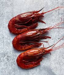 Gerald.Ph. Shop Seafood | Black Tiger Prawns | Delivery Manila Ph