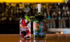 There's nothing better than a gin and tonic on a sunny afternoon. Best Australian Gin 2021 Edition