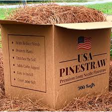 Check spelling or type a new query. Buy Pine Needle Tea Products Online In India At Best Prices