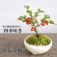 Douglas Toh Dgmtoh Profile Pinterest