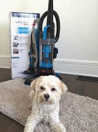 Bissell Powerforce Helix Turbo Rewind Reviews Review Bissell Powerforce Helix Bagless Vacuum Cleaner 1700 Thebestcleaningteam House Cleaning Reviews Tips And Guides