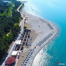 Поиск отелей по всему миру с trivago. Samoe Chistoe More V Gelendzhike Otzyv O Plyazh Sady Morej Gelendzhik Rossiya Tripadvisor