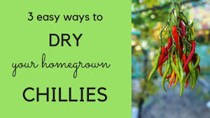 How do you dry hot peppers from the garden. How To Dry Chillies Three Easy Ways Youtube