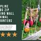 Halloween Night Zip! event image