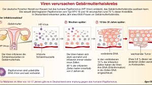 Ich hatte mich mit 16 jahren aufgrund des hypes um die impfung 2013 impfen lassen. Das Sollten Sie Uber Gebarmutterkrebs Wissen Gesundheit