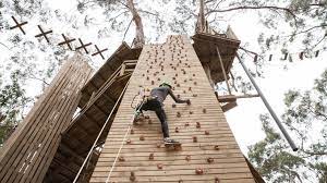 Live Wire Park Attractions In Lorne Melbourne Adventure Park Live Wire Melbourne Attractions