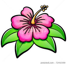 Vector Hibiscus Flower Cartoon Illustration Stock Illustration 72442099 Pixta