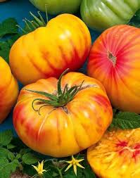 Tomate Ananas Tomate Ananas Jardin De Tomates Tomates