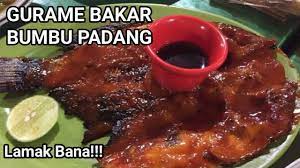 Cara membuat ikan kembung bakar pedas: Ikan Gurame Bakar Khas Padang Pariaman I Bumbu Ikannyo Lamak Bana Youtube
