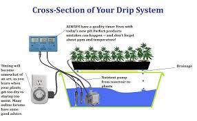 100 Do It Yourself Drip Irrigation System Drip Irrigation System Hydroponics Hydroponics Diy