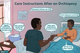 Cryptorchidism definition, failure of one or both testes to descend into the scrotum. Orchiopexy Procedures What To Expect