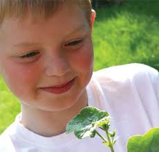 Retomar a delicadeza relegada ao esquecimento melhora a qualidade de vida e  as relações cotidianas