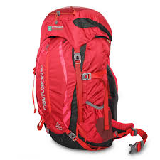 Wild life bear, wild life crocodile, wild life eagle Tipe Tas Consina Terbaik Update 2021 Bukareview
