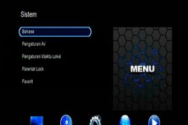 Menurut kabar yang beredar, nantinya akan menjadi free view tv namun memerlukan receiver. Dekoder Ninmedia