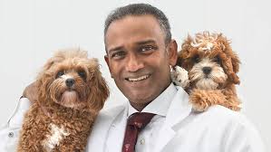 Old dogs can teach us new tricks about arthritis