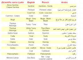 The jafari shia islam rules are approximately equivalent to kashrut rules. Seafood Jurisprudence Laws Shiachat Com