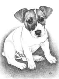 Pin De Christine En Jack Russell Terrier Dibujo De Perro Perritos Para Dibujar Animales Insectos